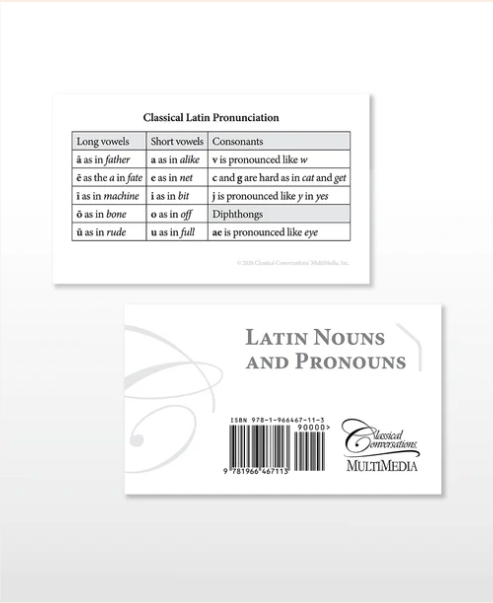 Latin Nouns & Pronouns Flash Cards