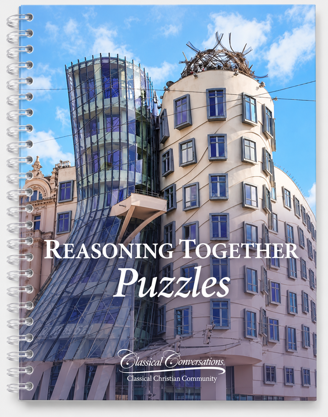 Reasoning Together: PUZZLES