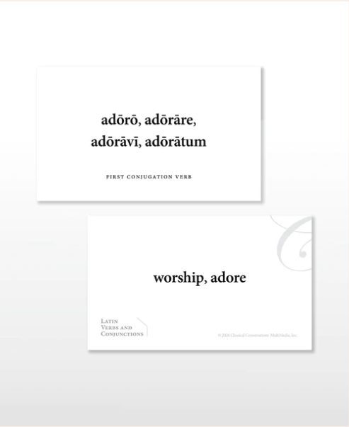 Latin Verbs & Conjugations Flash Cards
