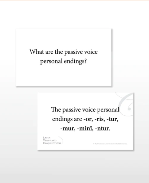 Latin Verbs & Conjugations Flash Cards