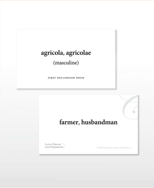 Latin Nouns & Pronouns Flash Cards