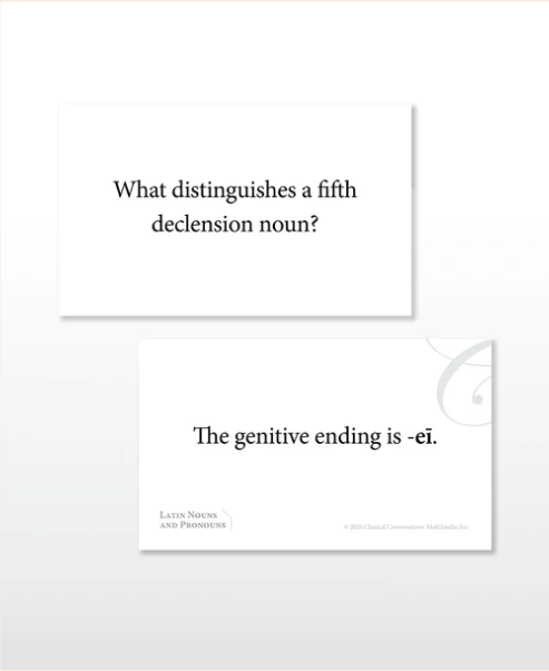 Latin Nouns & Pronouns Flash Cards