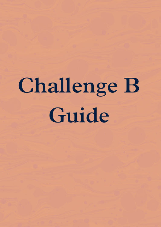 Challenge B Guide