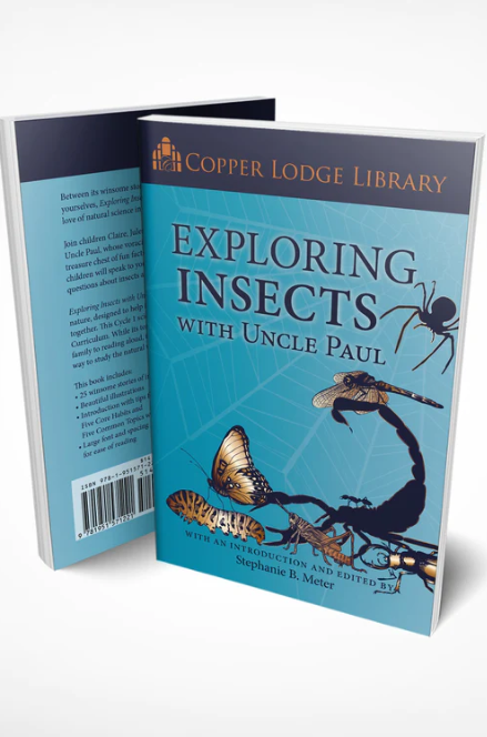 Exploring Insects with Uncle Paul